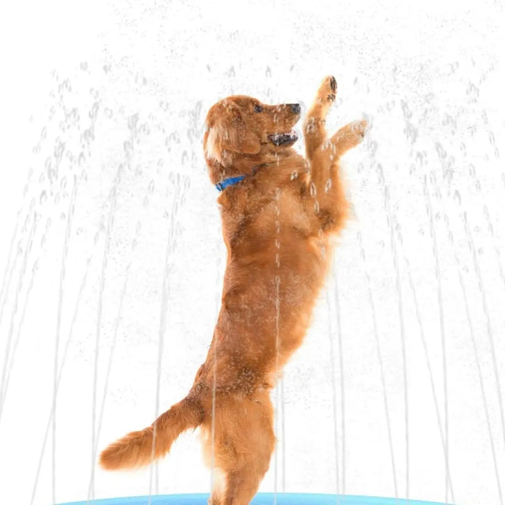 Sunneday Splash Pad & Water Sprinkler | Summer Backyard | Blue Plastic Oscillating Splash Pad Sunneday