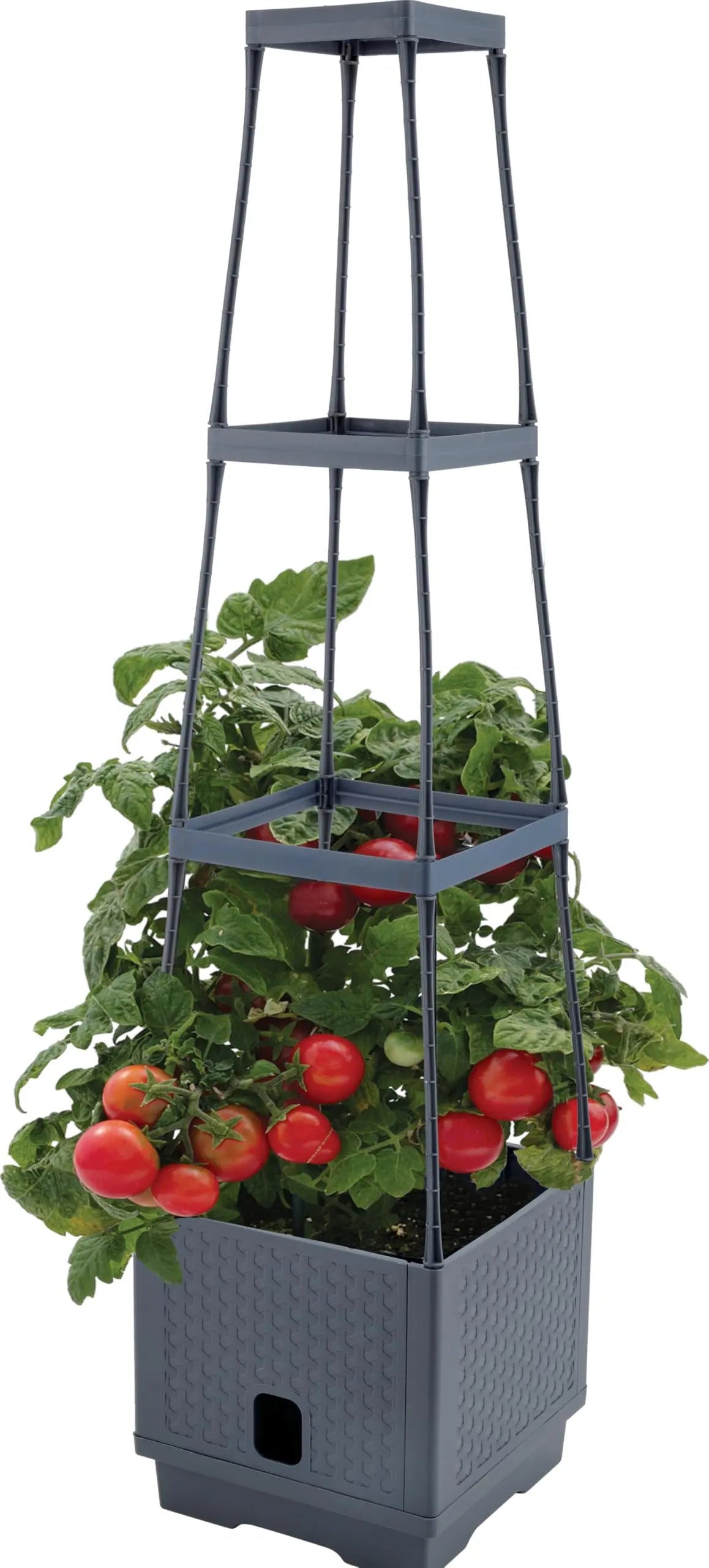 Sunneday Planter with Trellis | Vertical Garden Tower | Raised Bed for Tomatoes, Peppers & Herbs | Patio & Balcony - Sunneday LLC