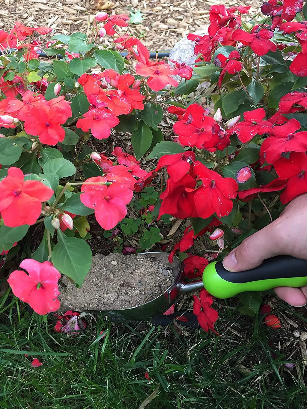 Stainless Steel Garden Scoop Trowel Garden Guru