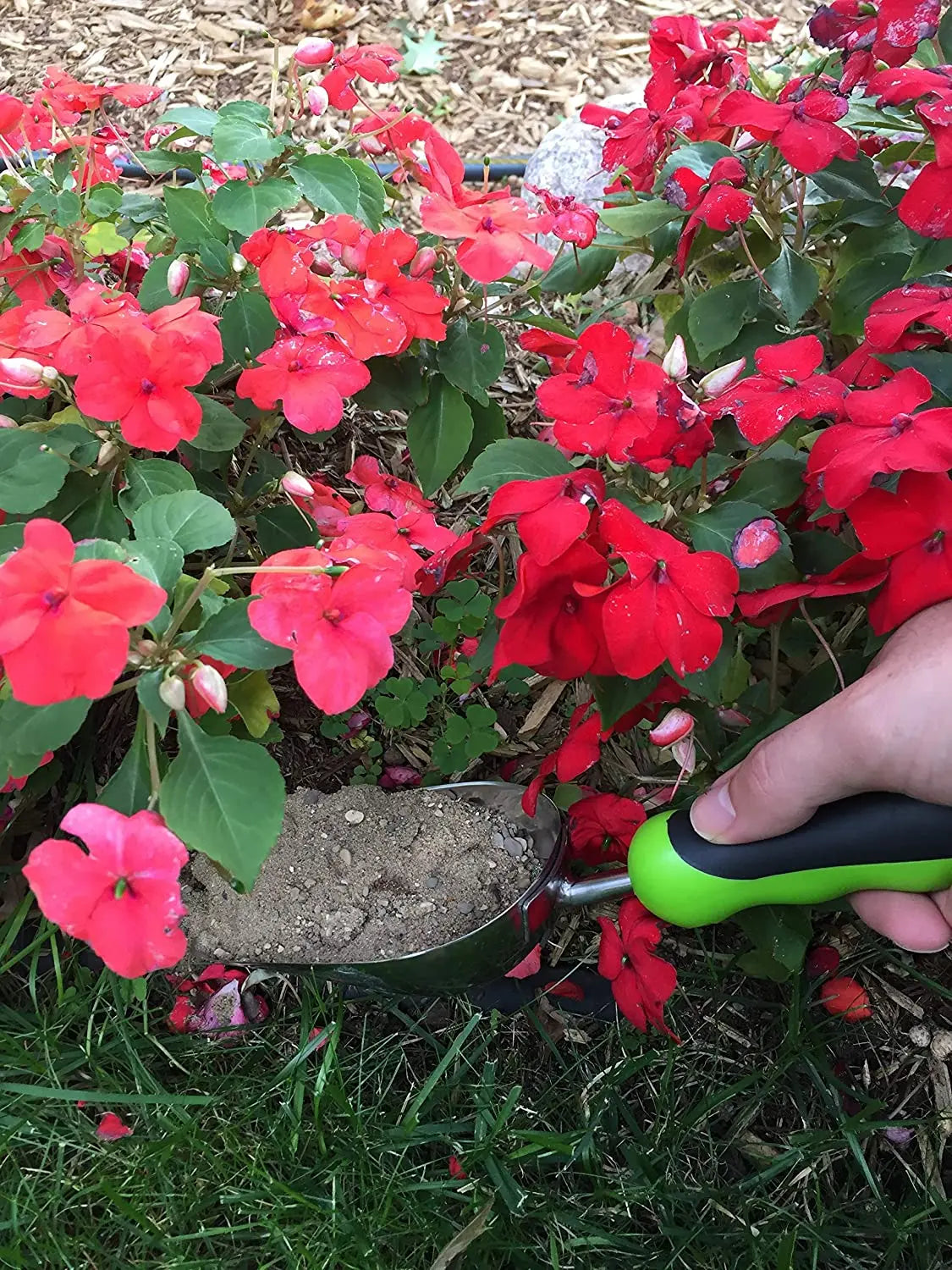 Stainless Steel Garden Scoop Trowel Garden Guru