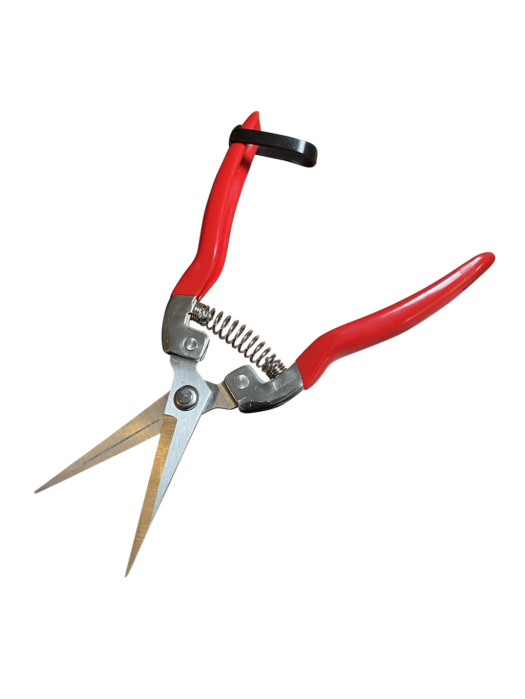 Garden Pruning Snips Clippers Garden Guru