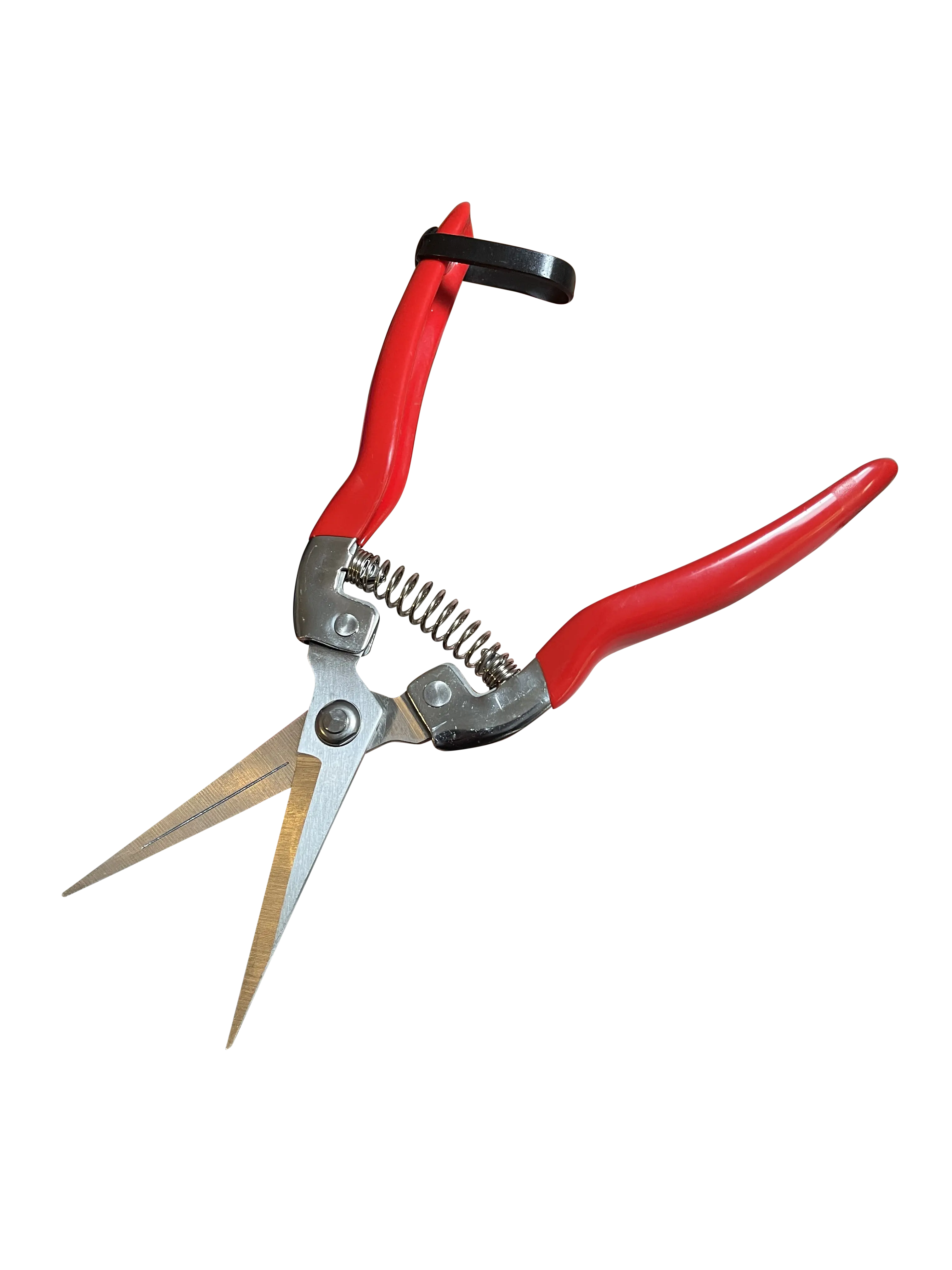 Garden Pruning Snips Clippers Garden Guru