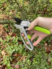 Ratchet Garden Pruning Shears Clippers Garden Guru