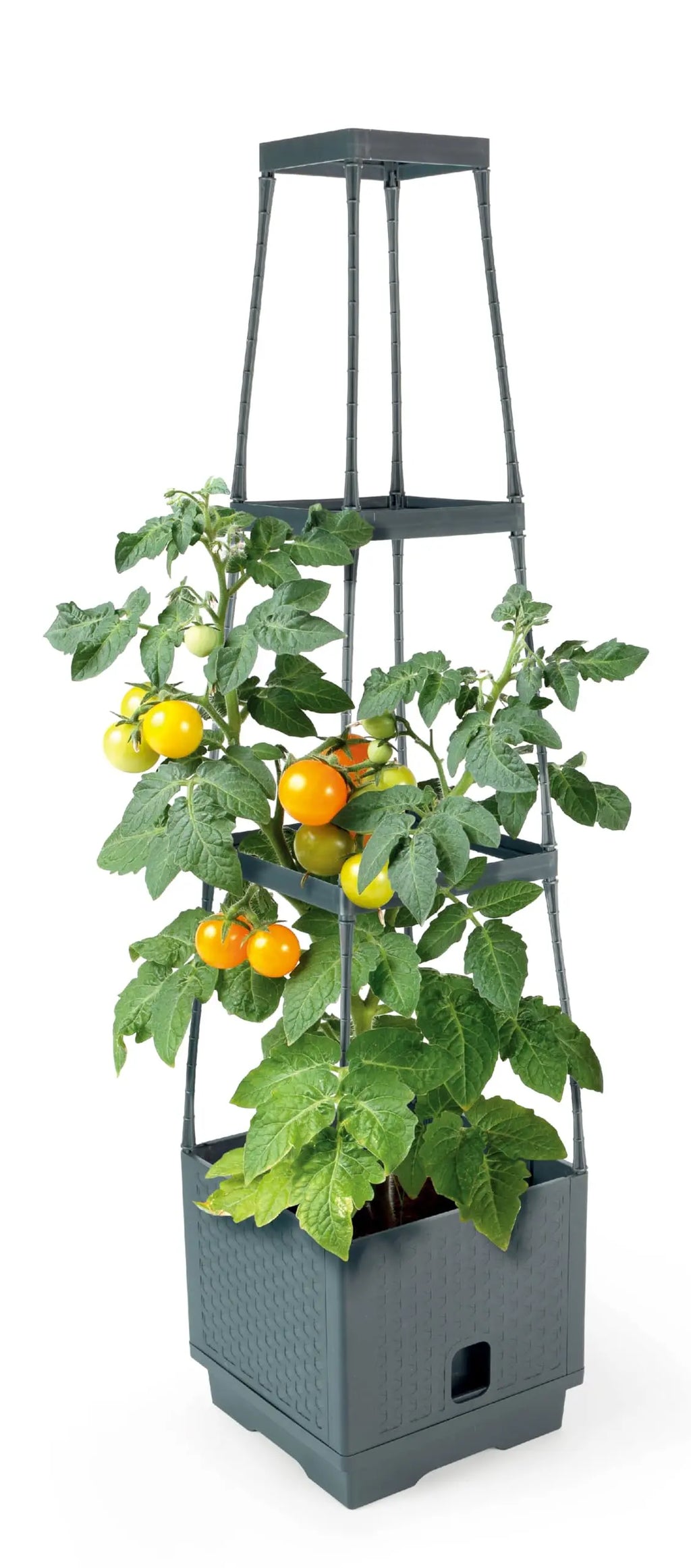 Sunneday Planter with Trellis | Vertical Garden Tower | Raised Bed for Tomatoes, Peppers & Herbs | Patio & Balcony - Sunneday LLC