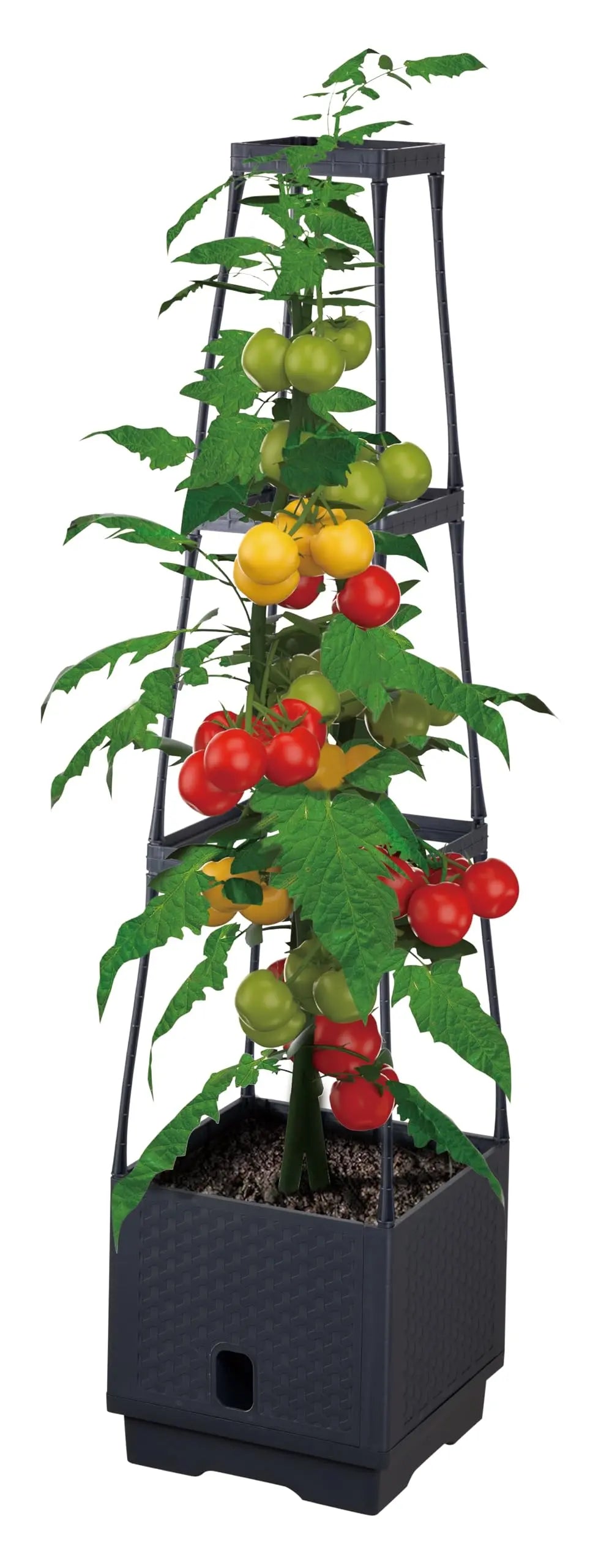 Sunneday Planter with Trellis | Vertical Garden Tower | Raised Bed for Tomatoes, Peppers & Herbs | Patio & Balcony - Sunneday LLC