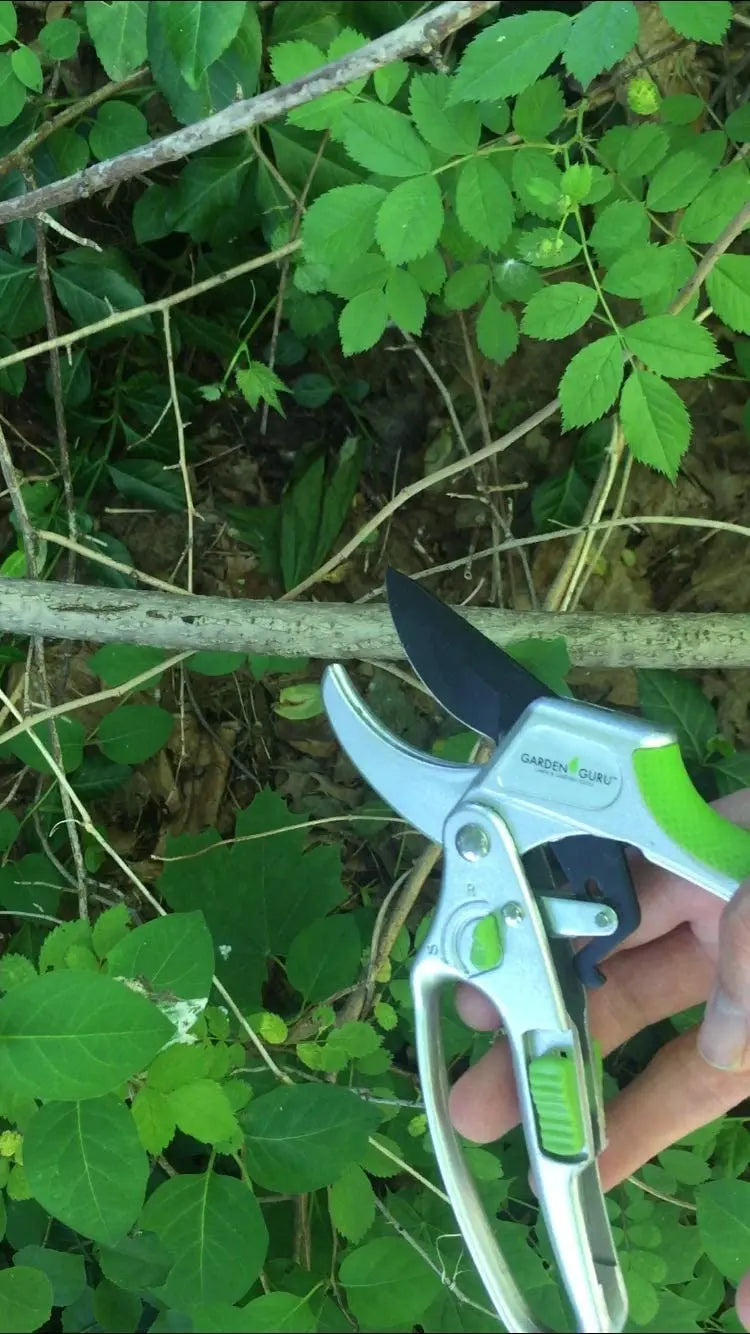 2-in-1 Garden Ratchet Pruning Shears Clippers Garden Guru