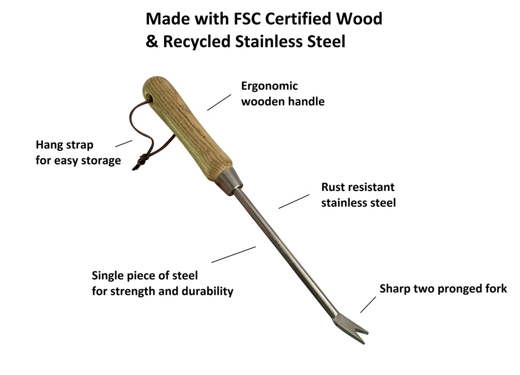 Stainless Steel Garden Dandelion Weeder (classic wood handle) Garden Guru