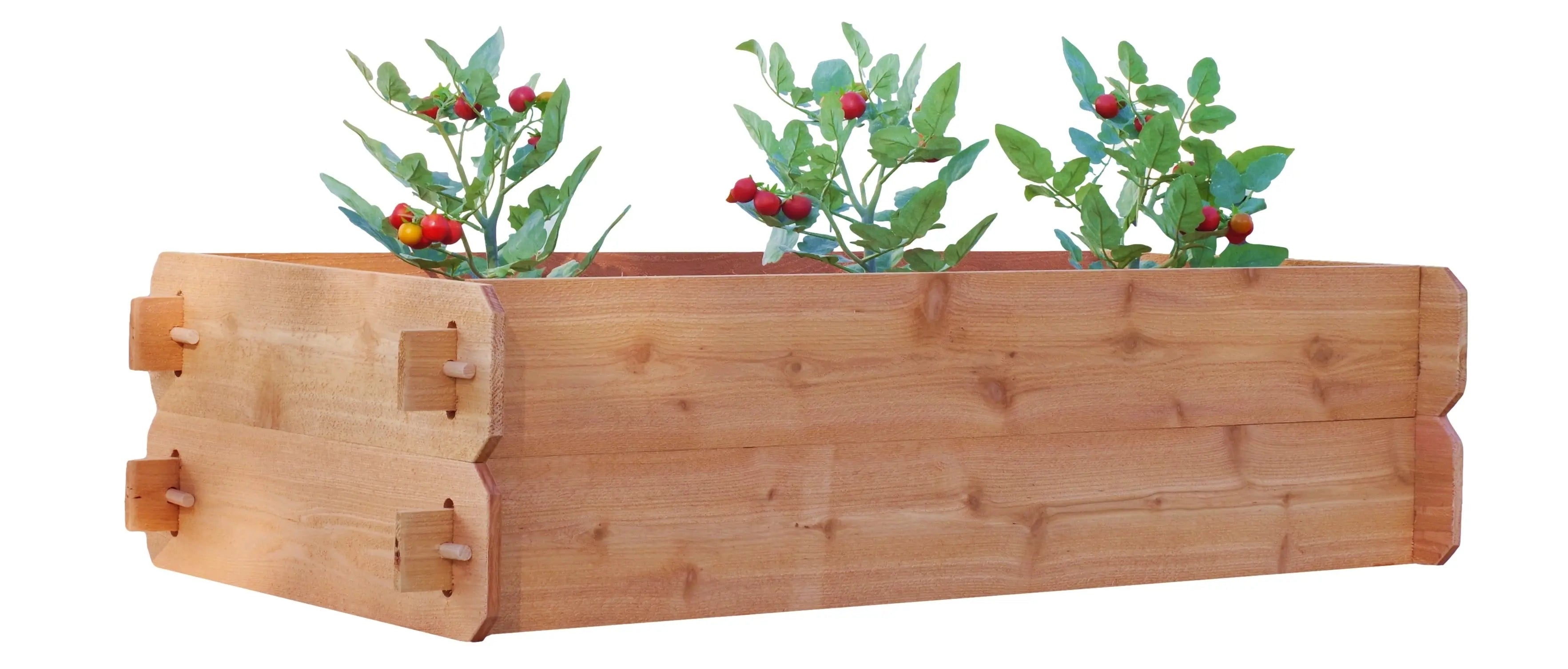 Timberlane Gardens Raised Garden Bed Kit Double Deep (Two 2x4) Select Cedar Timberlane Gardens